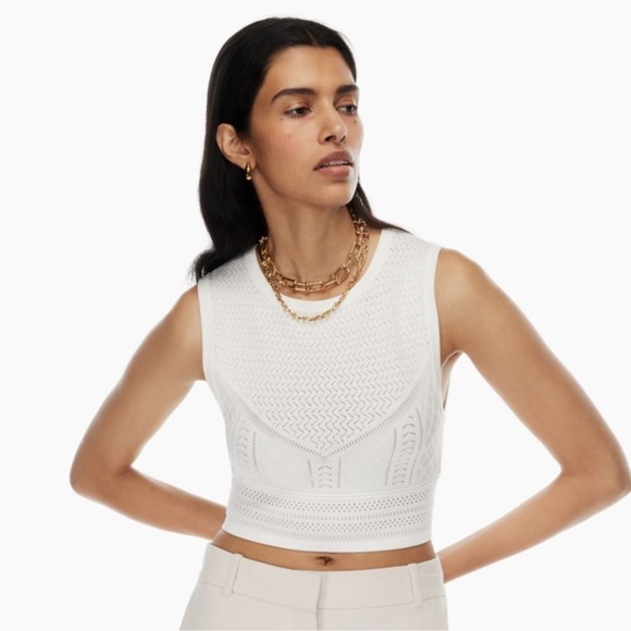 Babaton Tops - Aritzia Babaton Pointelle Sweater Knit Crop Tank Top